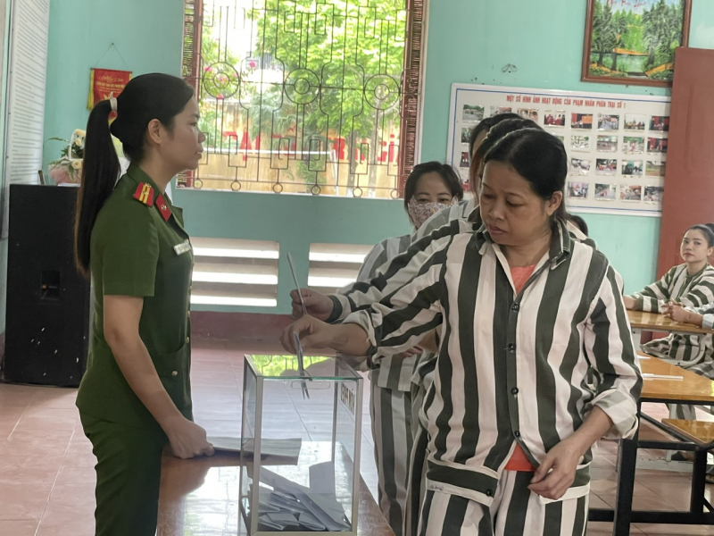 bỏ phiếu nl.jpg -0