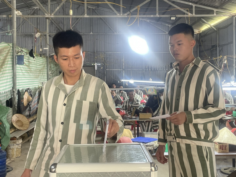 bỏ phiếu.jpg -1