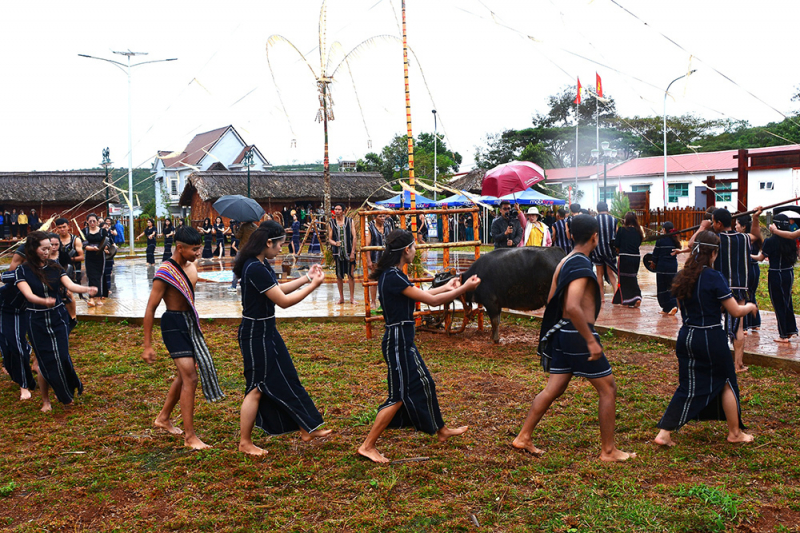 “Nhô lir bong” của người K’ho Nam Tây Nguyên -1