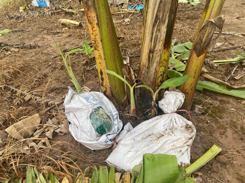 Bộ Công an triệt phá đường dây sản xuất, thu giữ 100 tấn thực phẩm chức năng giả -0