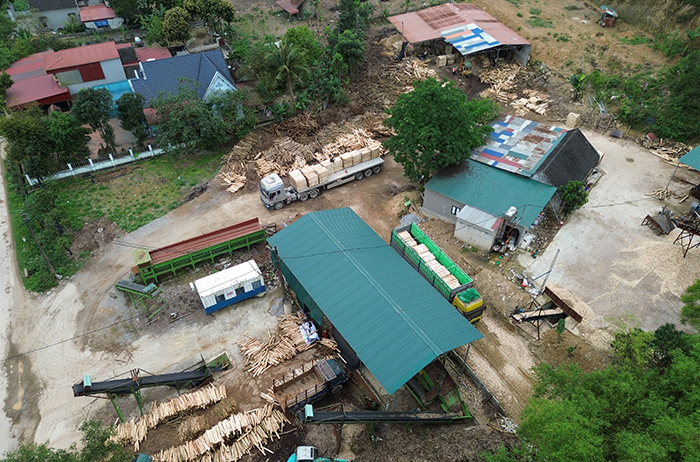 Hàng loạt cơ sở thu mua, chế biến gỗ trái phép tái diễn hoạt động -0