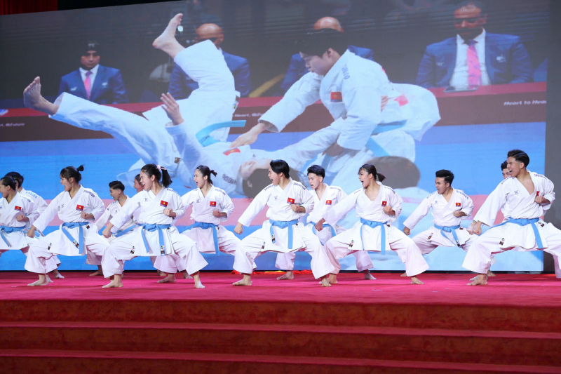 Mục tiêu của các đội tuyển võ tại SEA Games 33 -0