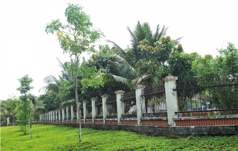 Bộ Công an yêu cầu Đắk Lắk cung cấp thêm hồ sơ các dự án trồng cây xanh của Công ty Công Minh -0