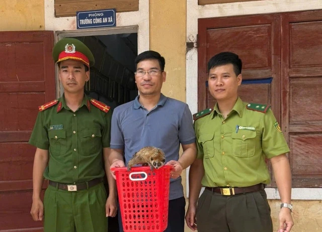 Thả động vật quý hiếm về Vườn Quốc gia Phong Nha - Kẻ Bàng -0