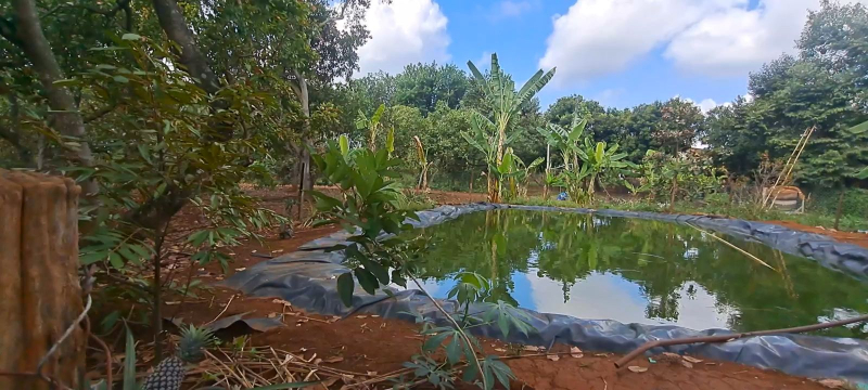 Án mạng nghi do ghen tuông khiến một người bị đánh tử vong -0