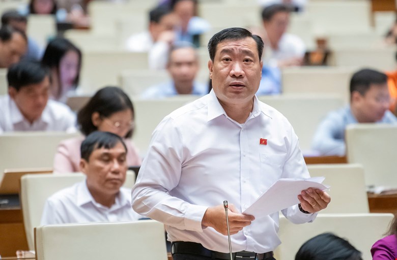 Đại biểu lo ngại mua bán xyanua tràn lan, quảng bá tiền chất ma tuý trên mạng -0