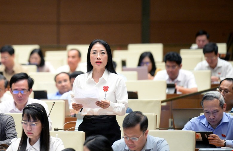 Đại biểu lo ngại mua bán xyanua tràn lan, quảng bá tiền chất ma tuý trên mạng -0