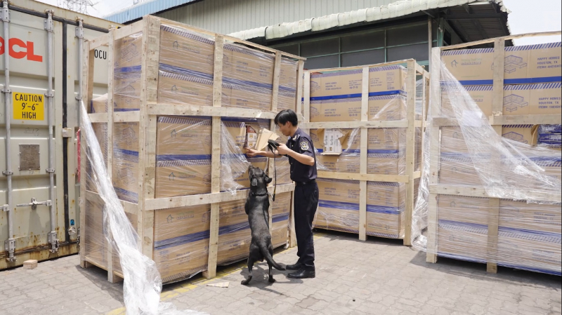 Khởi tố hình sự doanh nghiệp xuất lậu thuốc lá -0