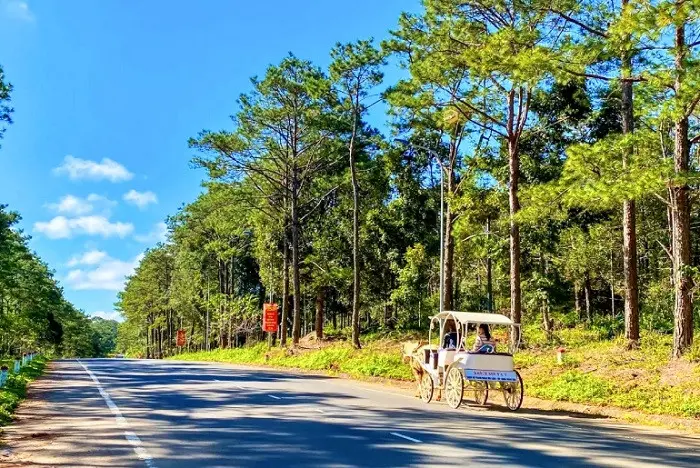 Bổ sung sân bay Măng Đen, Vân Phong vào Quy hoạch hệ thống cảng hàng không -0