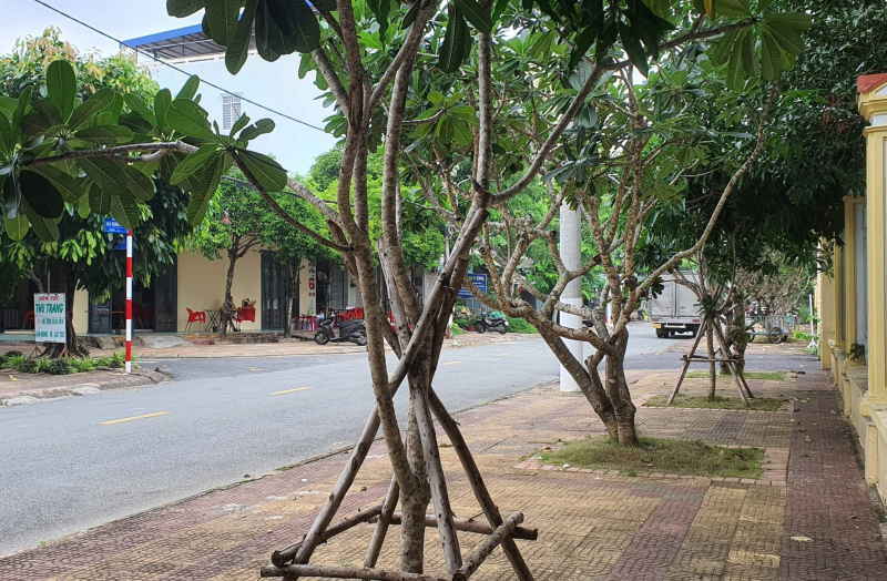 Cơ quan ANĐT Bộ Công an đề nghị Bạc Liêu cung cấp toàn bộ hồ sơ dự án cây xanh, chỉnh trang đô thị trên địa bàn tỉnh -0