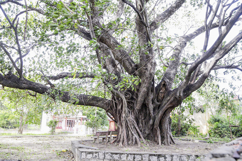 1. cau chuyen sau ngay 30-4.jpg -0
