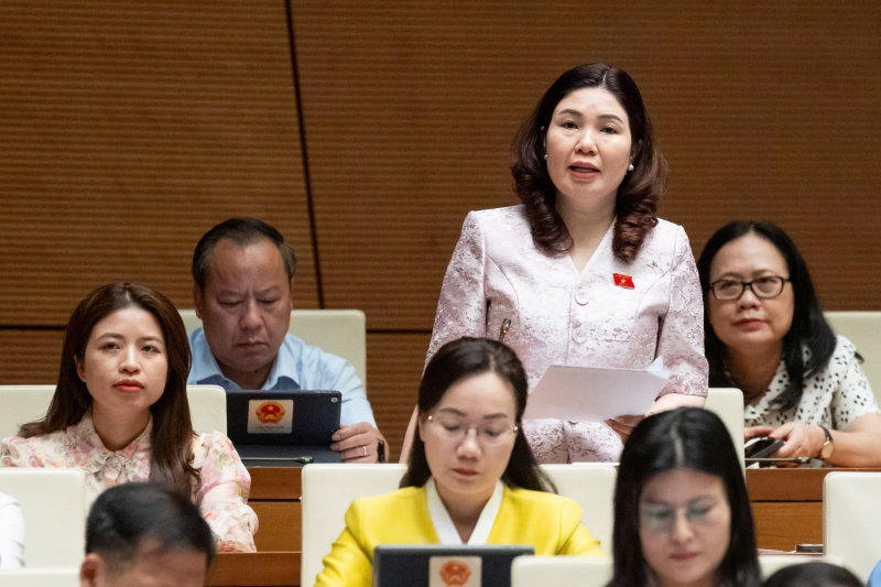 Công bố hợp quy sản phẩm: đại biểu Quốc hội bảo cản trở cạnh tranh, Chính phủ khẳng định để đảm bảo sức khoẻ người dân -0