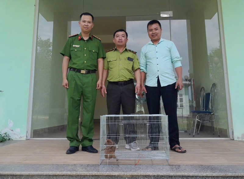 Cứu hộ nhiều cá thể động vật quý hiếm có tên trong Sách đỏ -0