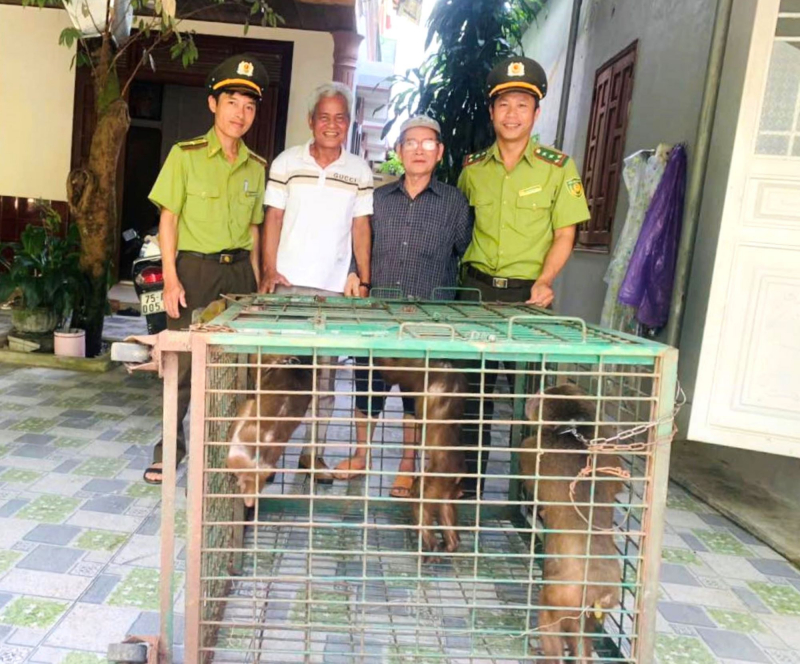 Cứu hộ nhiều cá thể động vật quý hiếm có tên trong Sách đỏ -0