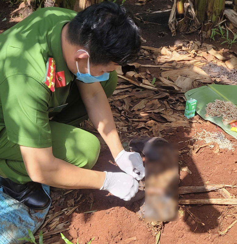 Bà Rịa-Vũng Tàu: Phát hiện thi thể trẻ sơ sinh đang phân hủy trong túi vải đen -1