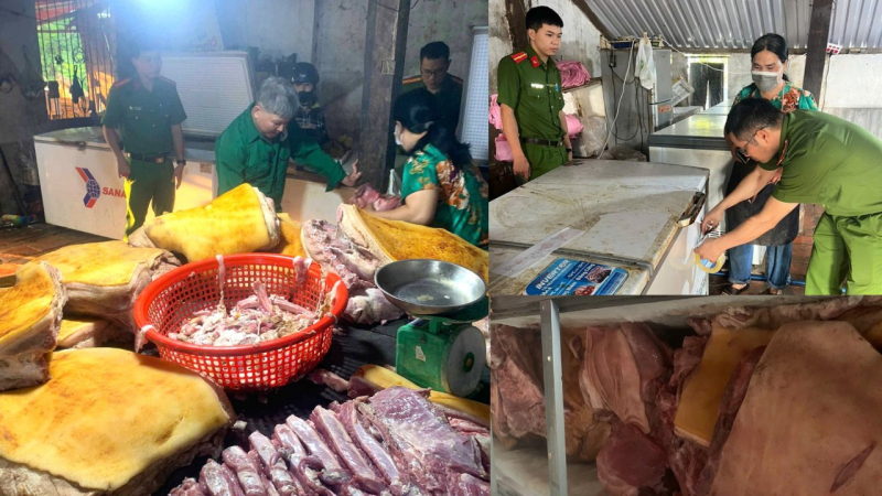 Tiêu hủy 781kg thịt heo nhiễm dịch tả lợn châu Phi -0