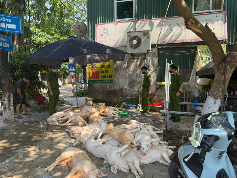 Công an tỉnh Vĩnh Phúc bắt giữ gần 1 tấn thịt lợn không đảm bảo vệ sinh -0