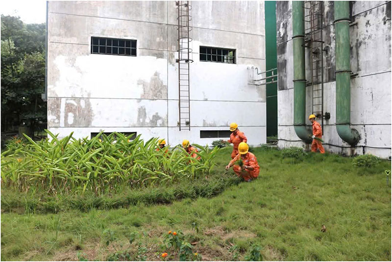 Công ty cổ phần Nhiệt điện Quảng Ninh hưởng ứng Tháng an toàn vệ sinh lao động năm 2025 -0