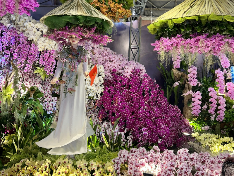 Khai mạc Festival hoa lan lần 3: Hành trình “Chuyến tàu đa sắc” kết nối văn hóa và thương mại -0
