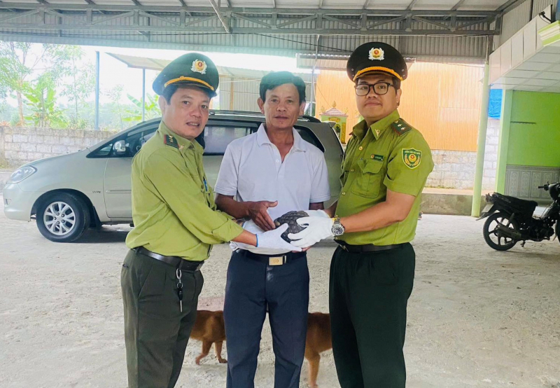 Loại bỏ sử dụng động vật hoang dã nguy cấp, quý hiếm trong y học cổ truyền -0