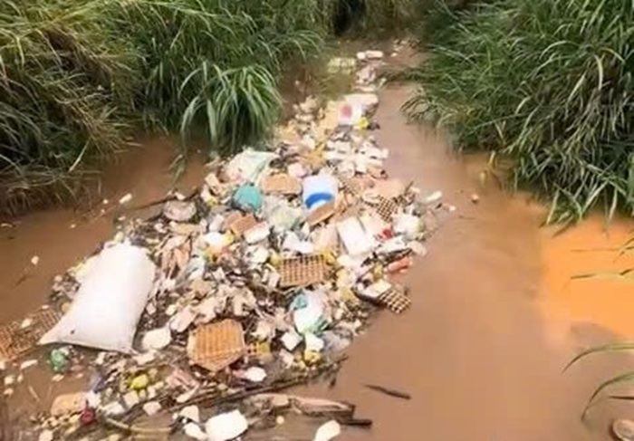 Xả thải bừa bãi, dân Đà Lạt lãnh đủ -0