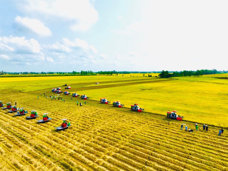 Khoa học công nghệ giúp giữ vị thế quốc gia xuất khẩu nông sản hàng đầu thế giới -0