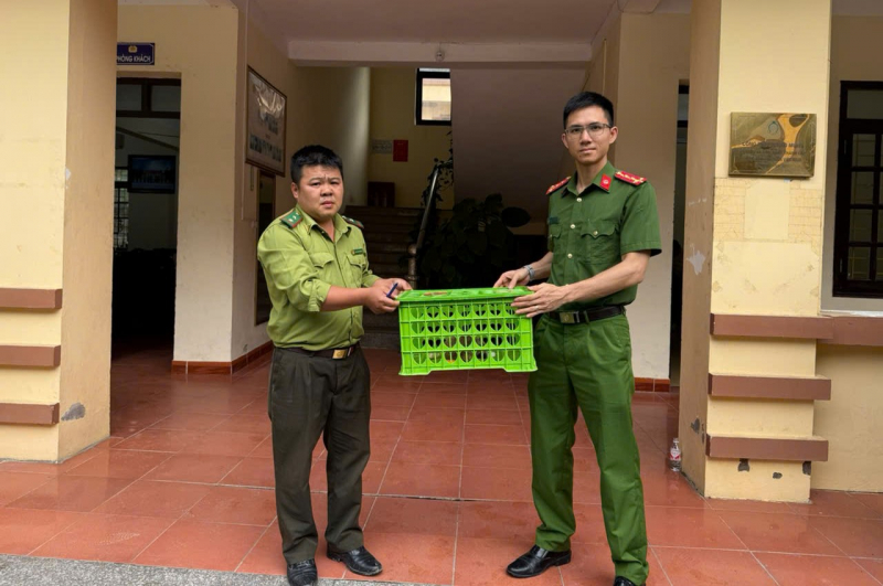 ảnh 3. công an xã tân thanh bàn giao cá thể cu li cho kiểm lâm huyện văn lãng theo quy định.jpg -1