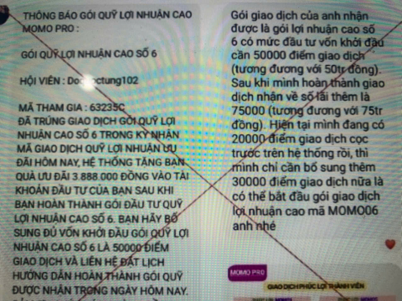 Mất hơn 300 triệu đồng khi tham gia đầu tư qua ứng dụng MoMo Pro giả mạo -0