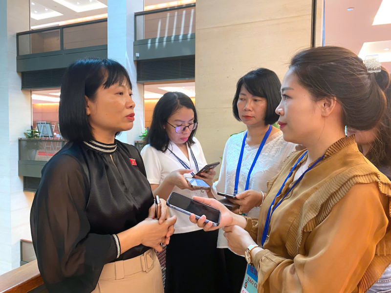 Từ vụ Hoa hậu Thuỳ Tiên: Cần xử lý nghiêm khắc người nổi tiếng tiếp tay cho hàng giả -0
