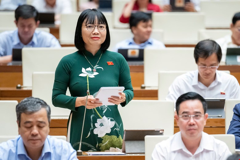 Đại biểu Quốc hội phân tích lý do nên bỏ tử hình đối với một số tội danh -0