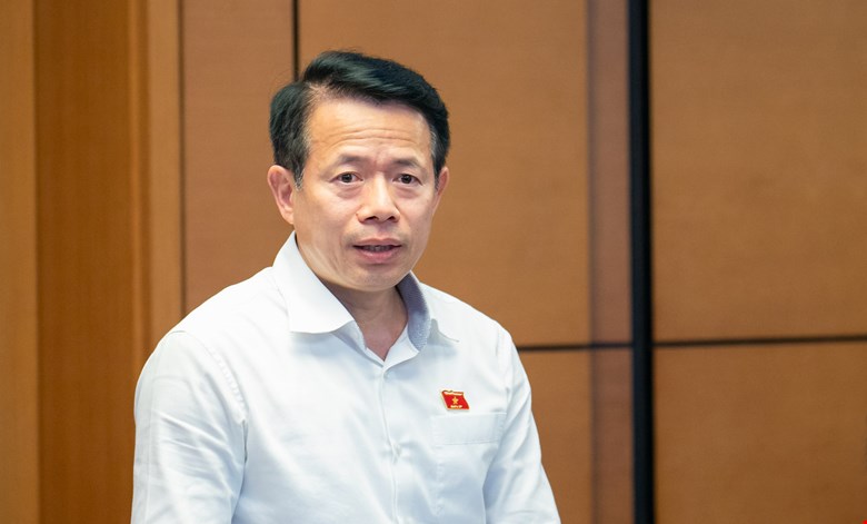 Đại biểu Quốc hội phân tích lý do nên bỏ tử hình đối với một số tội danh -0