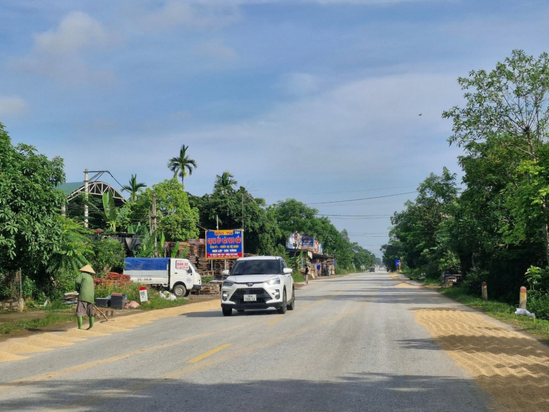Lòng đường thành nơi phơi lúa -0