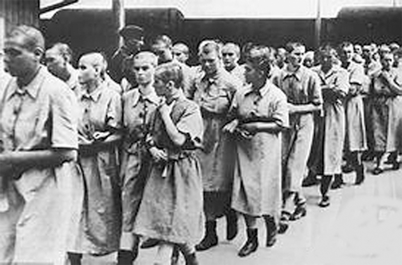 Tự nguyện vào Auschwitz để tìm sự thật -0