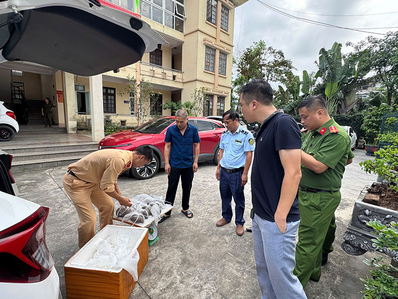 Lực lượng QLTT địa phương tăng cường xử lý vi phạm -0