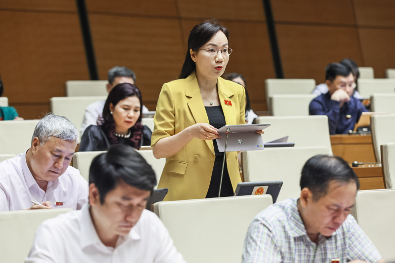 đỗ thị việt hà - bắc giang.jpg -0