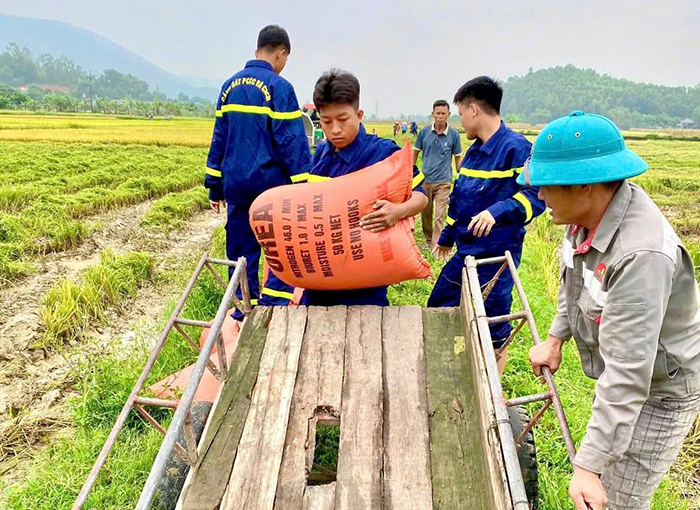 Cảnh sát PCCC & CNCH giúp dân thu hoạch lúa sau mưa lớn -2