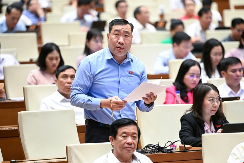 Đại biểu Quốc hội: