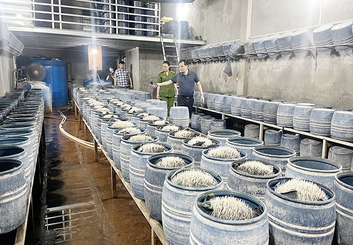 Công an Lào Cai phát hiện, triệt phá 2 cơ sở dùng hóa chất độc hại làm giá đỗ bán ra thị trường -0