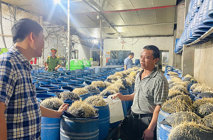 Công an Lào Cai phát hiện, triệt phá 2 cơ sở dùng hóa chất độc hại làm giá đỗ bán ra thị trường -0