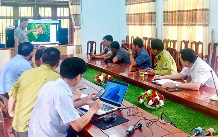 Update forest developments to improve forest management and protection efficiency -0