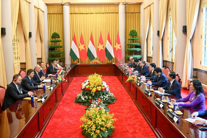 Chủ tịch nước Lương Cường chủ trì lễ đón Tổng thống Hungary Sulyok Tamas -0