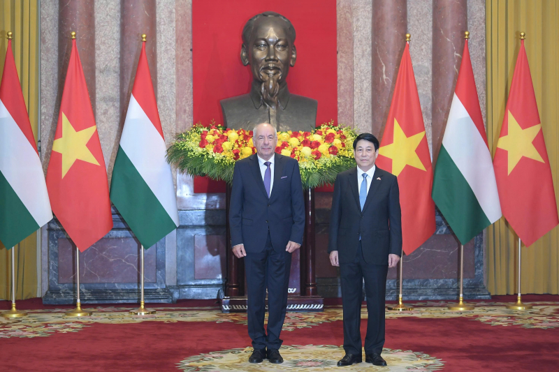 Chủ tịch nước Lương Cường chủ trì lễ đón Tổng thống Hungary Sulyok Tamas -0