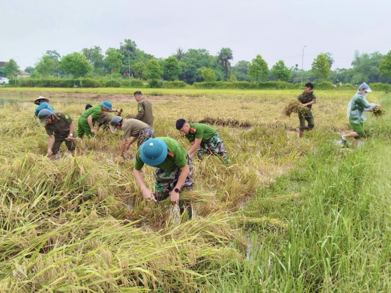 Không khí lạnh “đổ bộ” giữa mùa hè có bất thường? -0