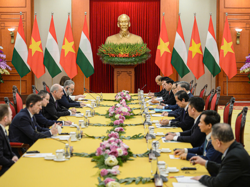 Tổng Bí thư Tô Lâm hội kiến Tổng thống Hungary Sulyok Tamás  -0