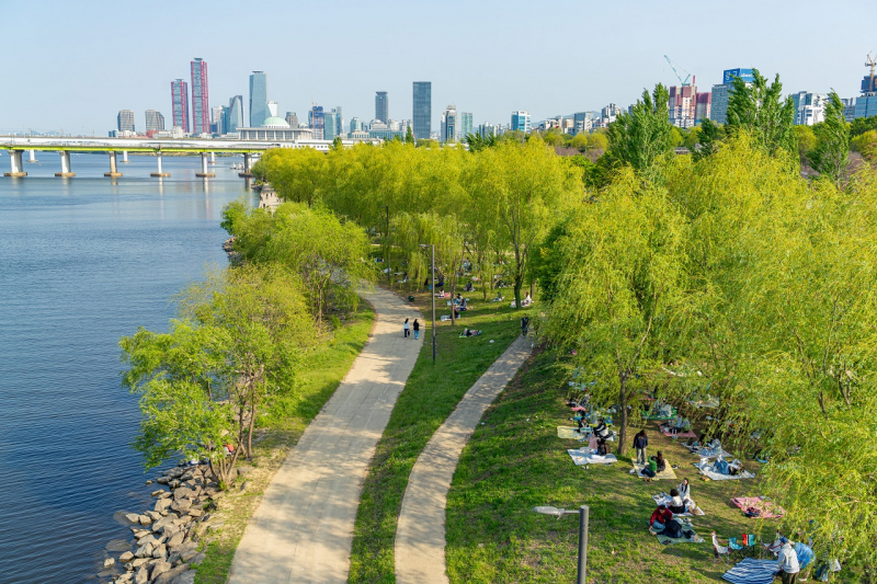 Seoul mùa xanh lá -2