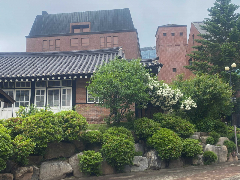 Seoul mùa xanh lá -0