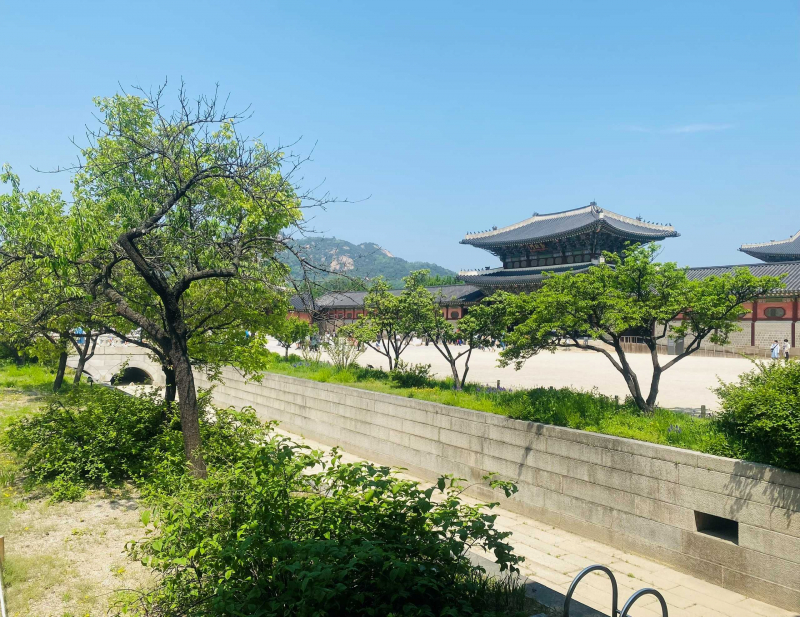 Seoul mùa xanh lá -0