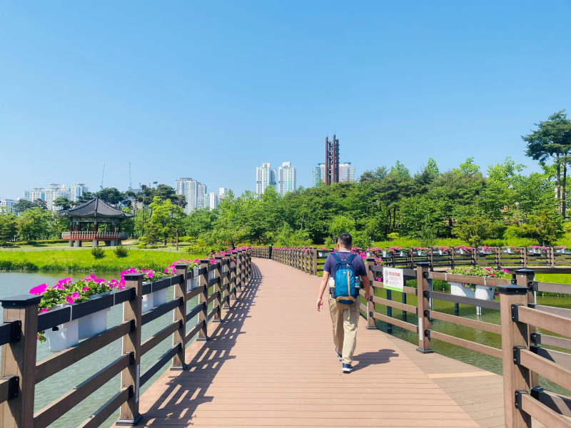 Seoul mùa xanh lá -0