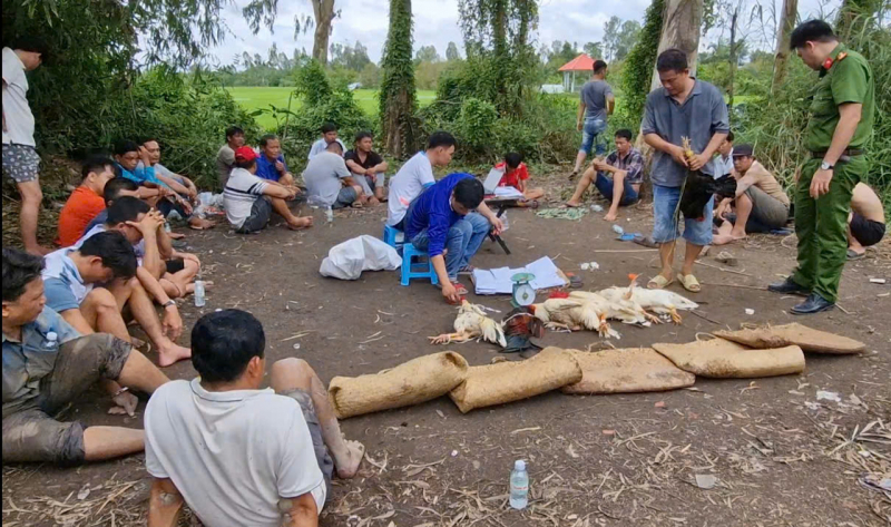 z6651122966524_07a3eafeb282745a7fec50b369c065e2.jpeg -0