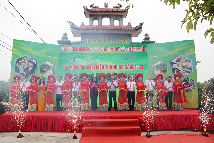 Hải Dương khai hội mùa vải: Lô vải thiều đầu tiên xuất sang Úc, Nhật Bản -0